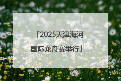 2025天津海河国际龙舟赛举行