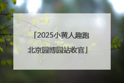 2025小黄人趣跑北京园博园站收官