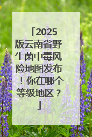 2025版云南省野生菌中毒风险地图发布！你在哪个等级地区？