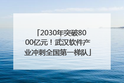 2030年突破8000亿元！武汉软件产业冲刺全国第一梯队