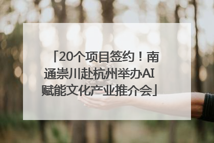 20个项目签约！南通崇川赴杭州举办AI赋能文化产业推介会