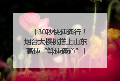 30秒快速通行！烟台大樱桃搭上山东高速“鲜速通道”