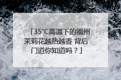 35℃高温下的福州茉莉花越热越香 背后门道你知道吗？