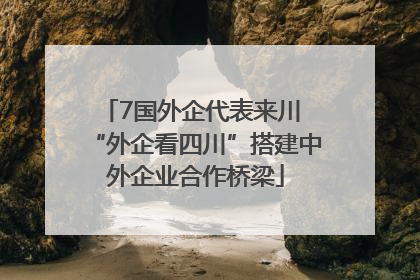 7国外企代表来川 “外企看四川”搭建中外企业合作桥梁