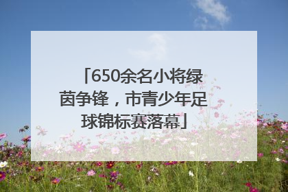 650余名小将绿茵争锋，市青少年足球锦标赛落幕