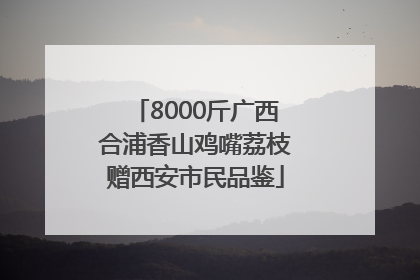 8000斤广西合浦香山鸡嘴荔枝赠西安市民品鉴