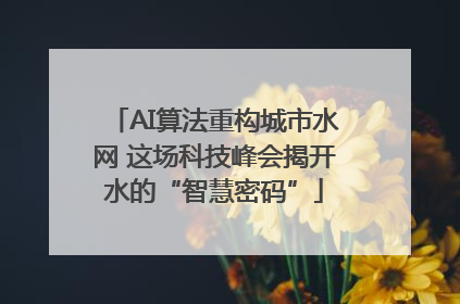 AI算法重构城市水网 这场科技峰会揭开水的“智慧密码”