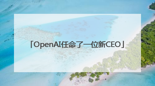 OpenAI任命了一位新CEO