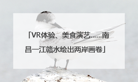 VR体验、美食演艺……南昌一江赣水绘出两岸画卷